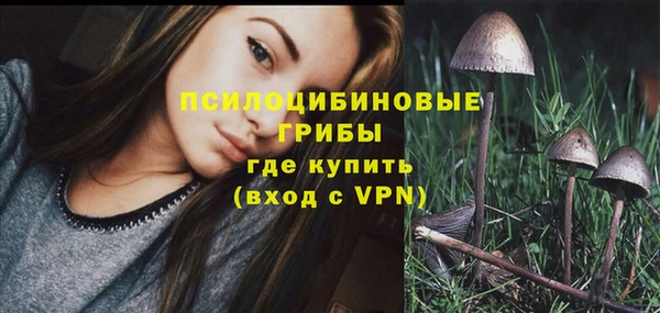 мдпв Нея