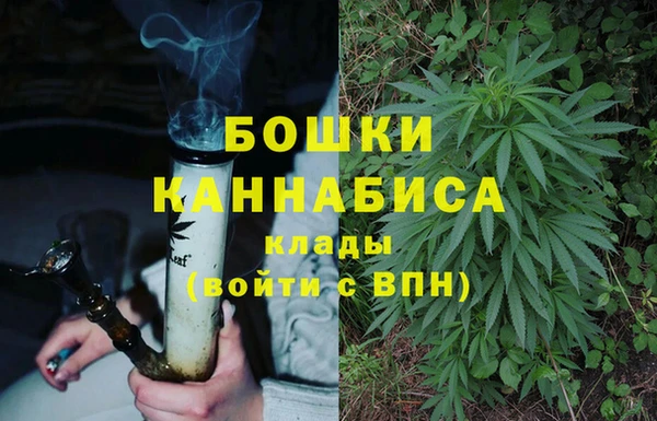 твердый Аркадак