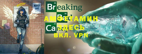 твердый Аркадак