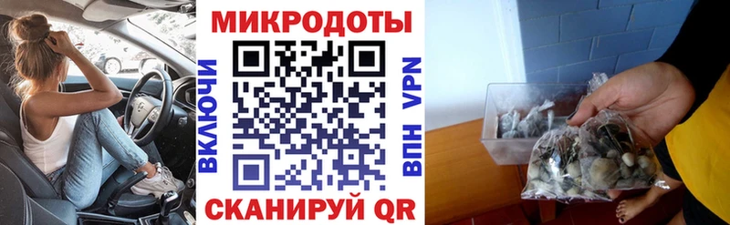 Псилоцибиновые грибы мицелий наркота Горнозаводск